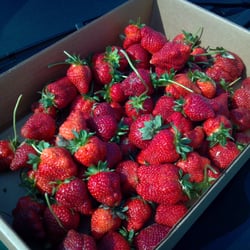 Strawberries On 903 - Fresh picked strawberries. The crappy picture app doesn't do them justice.