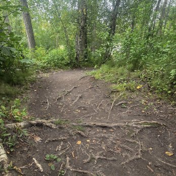 Matanuska River Park - RV Parks Near Me - Palmer, Alaska