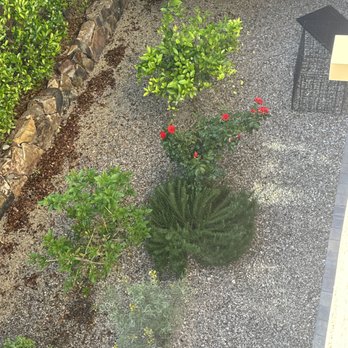 AAA Tree Service - Tree Services Near Me