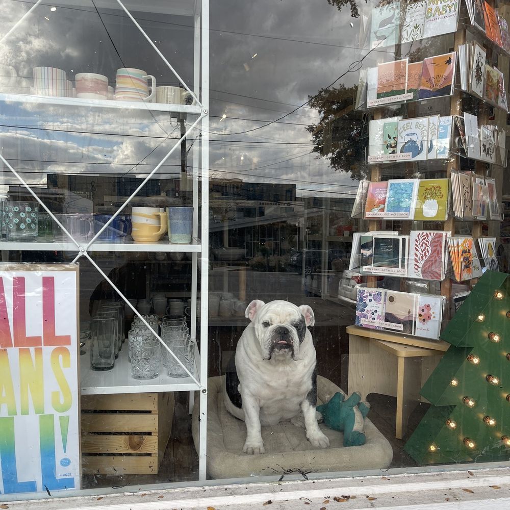Sfingiday - How much is that doggy in the window? - Gift Shops Near Me - Austin, Texas Sfingiday - How much is that doggy in the window? - Gift Shops Near Me - Austin, Texas