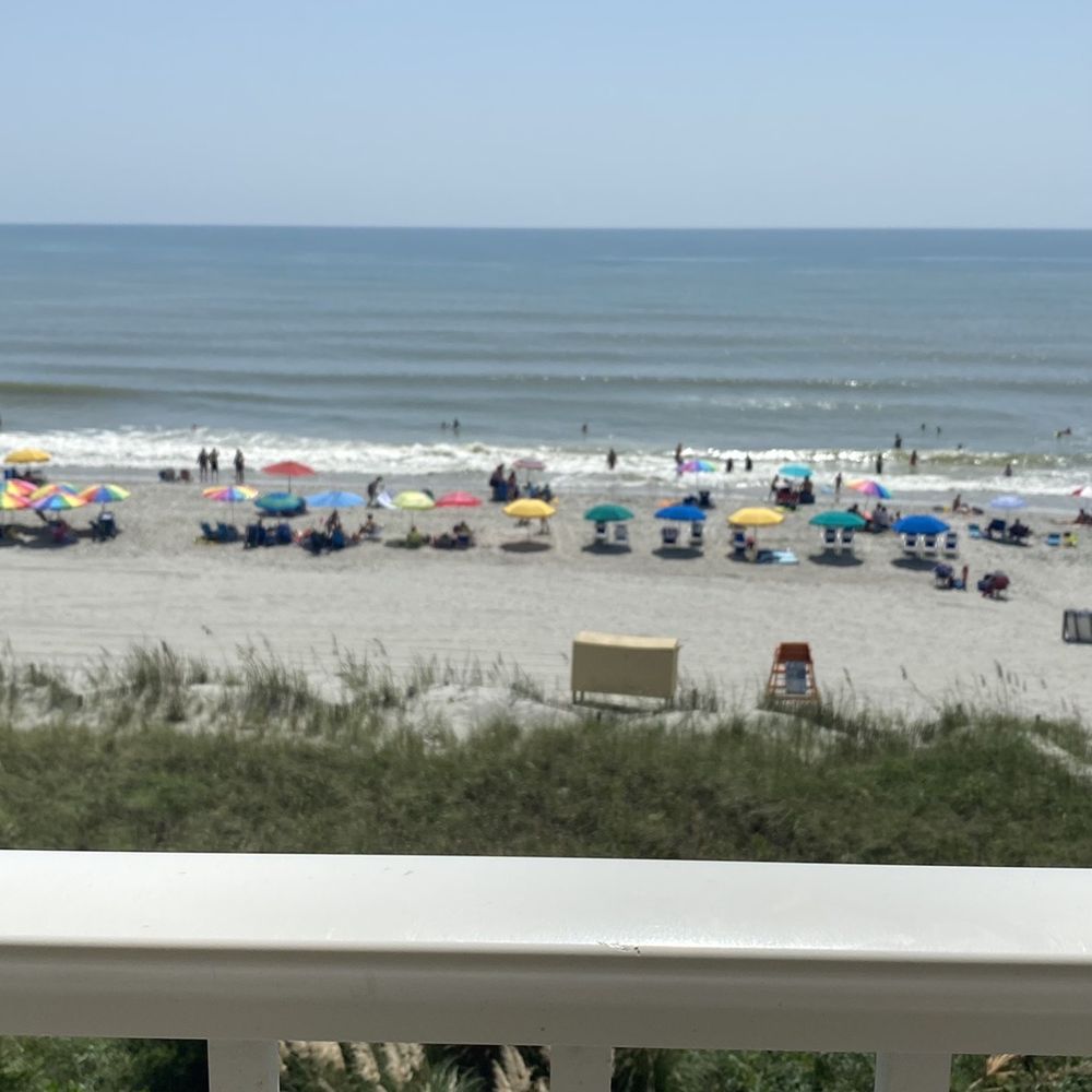 Ocean Reef Resort Myrtle Beach Bed Bugs