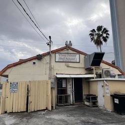 Ping House - Back