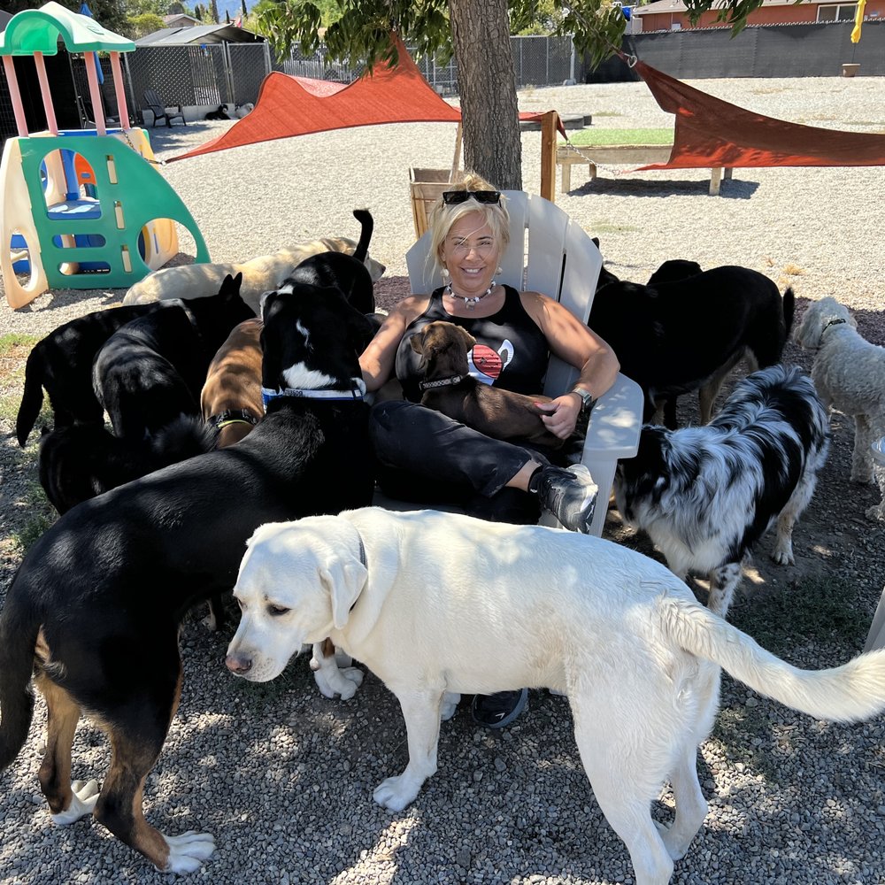 TOP 10 BEST Pet Sitting near San Martin, CA - Updated 2026