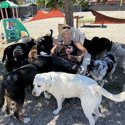 Doggie Style - Chillin with MY PACK Doggie Style
