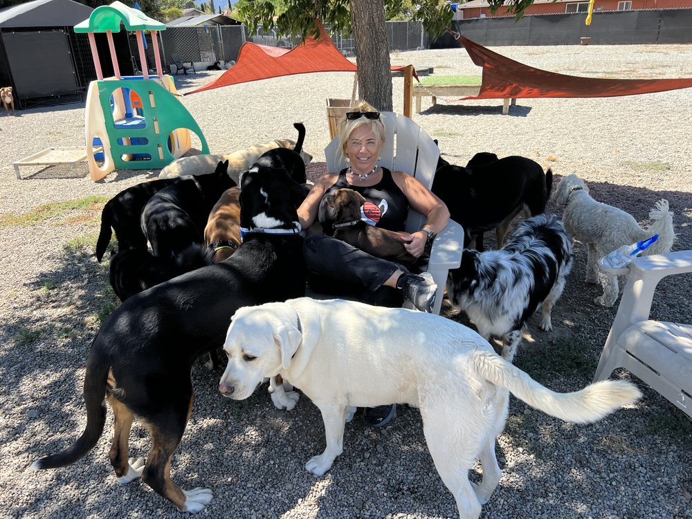 Doggie Style - pet boarding facility in Morgan Hill, CA