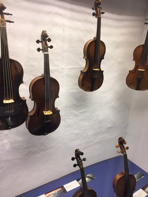 Geigenbaumuseum by null