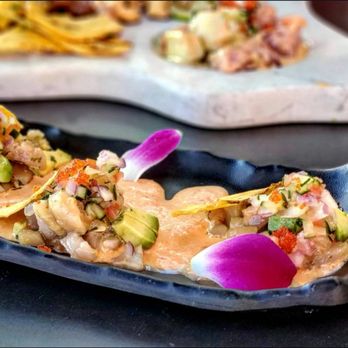 Surfish Bistro - Latin American Near Me - Brooklyn, New York Surfish Bistro - Latin American Near Me - Brooklyn, New York