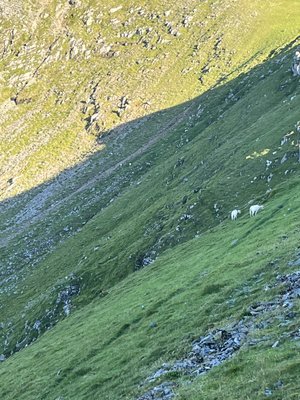 Snowdon Mountain Railway by null