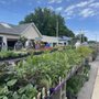 Photo of The Garden Shop
