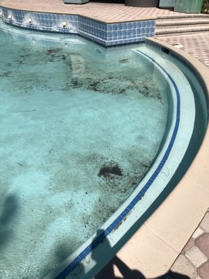 Mirasol By Amc Closed 64 Photos 49 Reviews Apartments 2180 E Warm Springs Rd Las Vegas Nv United States Phone Number Yelp