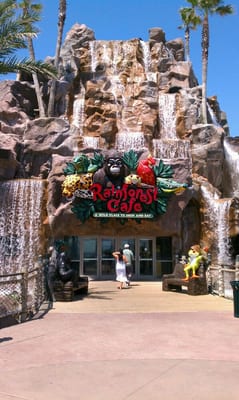 Rainforest Cafe by null