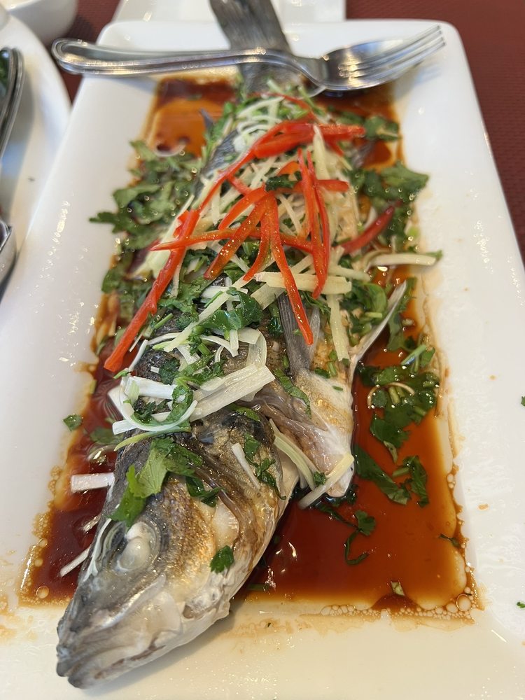 CHINA GARDEN Updated 2024 23 Photos & 14 Reviews Bahnhofstrasse