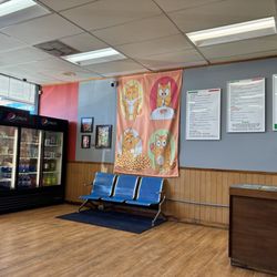 Fat Cat Pizza - Indoor space