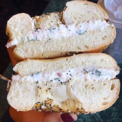 The Daily Bagel Cafe