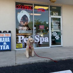 The Dirty Dog Pet Pawlor - Lillo getting total spa treatment today at dirty dog pet grooming.