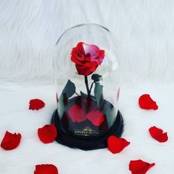 Lovely Roses - Beauty and The Beast Eternal Rose