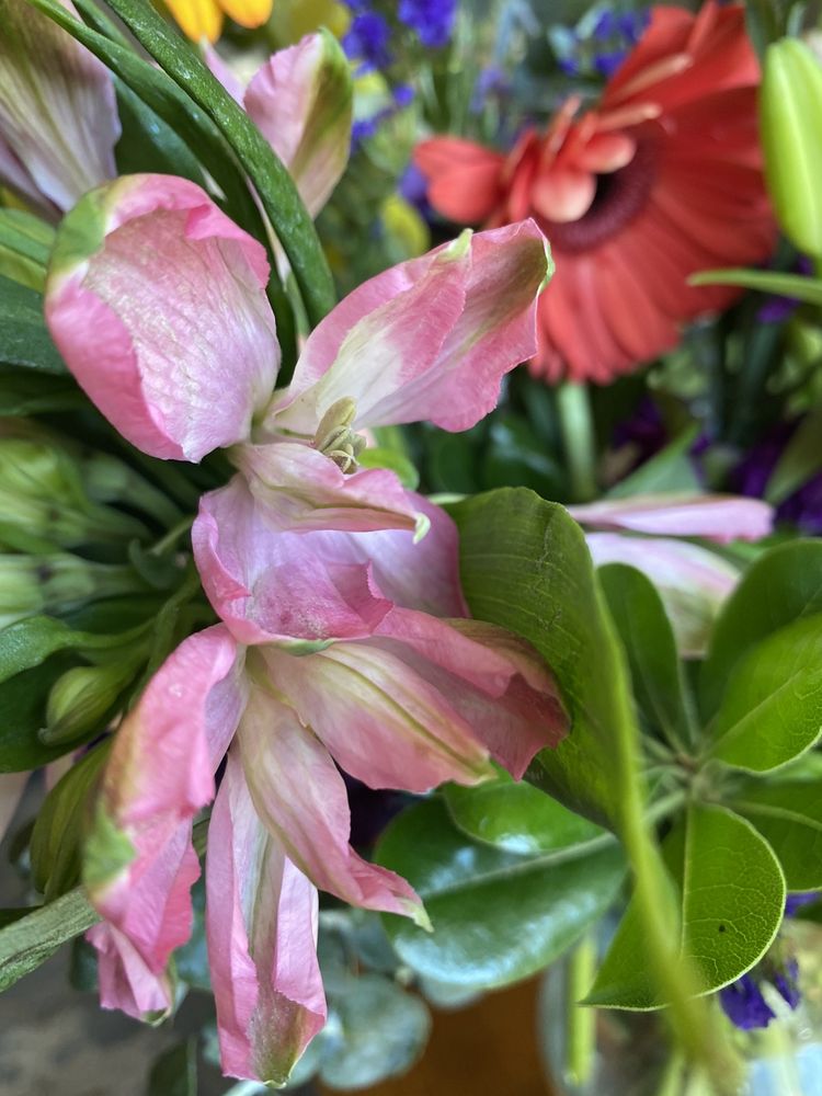 WOODINVILLE FLORIST Updated September 2024 18 Photos & 41 Reviews