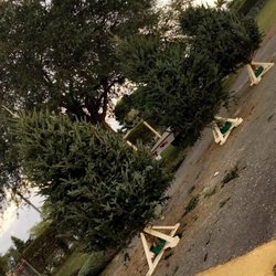 Santas Garden