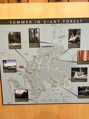 Giant Forest Museum by null