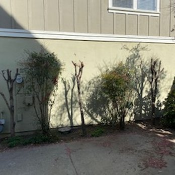 GreenOuse Landscape & Design - They cut down bushes to nothing to avoid work - Landscaping Near Me GreenOuse Landscape & Design - They cut down bushes to nothing to avoid work - Landscaping Near Me