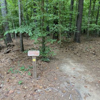 forest ridge park - Shoreline Trail Head - Parks Near Me - Wake Forest, North Carolina