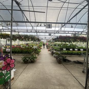 Country Corner - Greenhouse - Nurseries & Gardening Near Me - Roanoke, Virginia