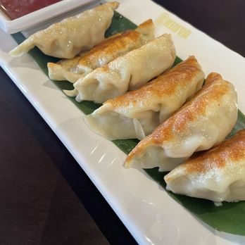 Kinya Ramen - Pork Gyoza - Ramen Near Me - Saint Johns, Florida Kinya Ramen - Pork Gyoza - Ramen Near Me - Saint Johns, Florida