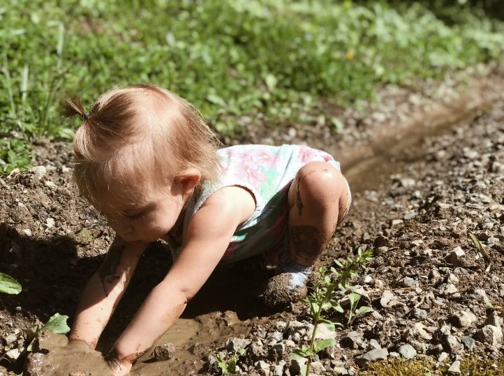Little Wildflowers Preschool - childcare center in Nashville, TN