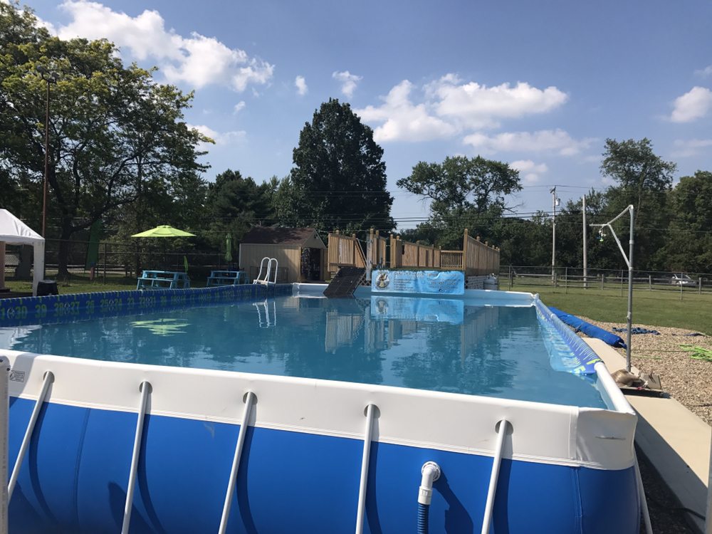 Social spots from Duke's K9 Dash N' Splash