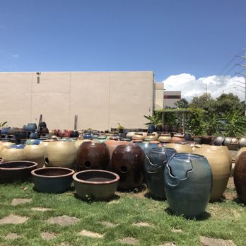 Geobunga - Geobunga front yard with pots for sale - Nurseries & Gardening Near Me - Aiea, Hawaii Geobunga - Geobunga front yard with pots for sale - Nurseries & Gardening Near Me - Aiea, Hawaii