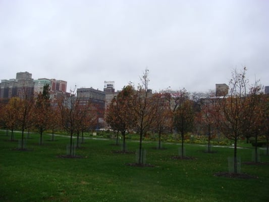 Grant Park by null