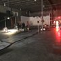 Photo of House of Shoots