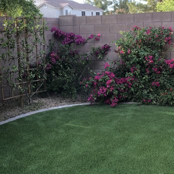 Pristine Green - After- the lawn looks like green carpet all free from the leaves - Tree Services Near Me - Gilbert, Arizona