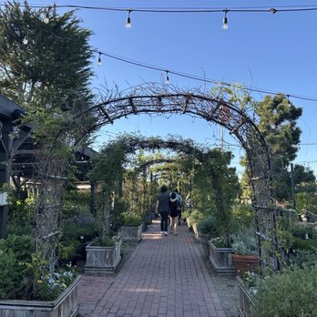 Roger's Gardens - Archway - Nurseries & Gardening Near Me - Corona Del Mar, California