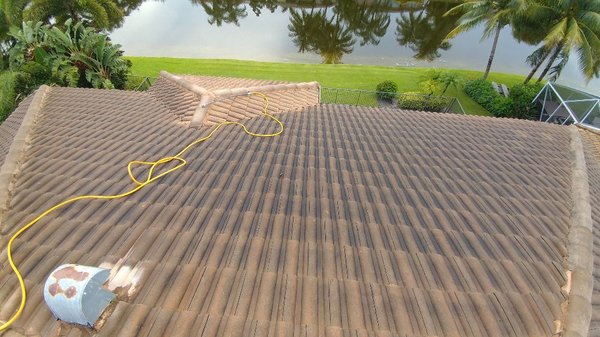 Express Roof Cleaning Logo