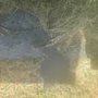 Photo of Charleys Septic Tank Services