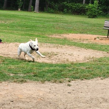 Chattapoochee Dog Park - Our pup having a blast. - Dog Parks Near Me - Duluth, Georgia