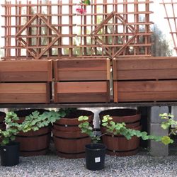 Edgewood Nursery & Garden