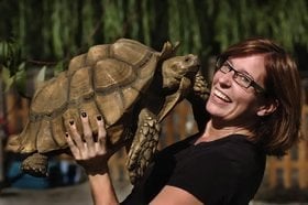 Dr. Lori's Mobile Veterinary Service Image