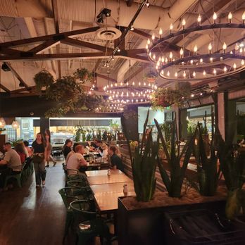 Blanco Cocina + Cantina - Fun, festive ambiance - Tacos Near Me - Phoenix, Arizona