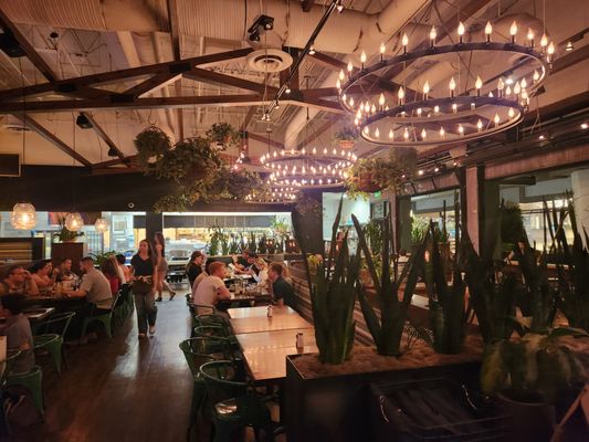 Blanco Cocina + Cantina by null