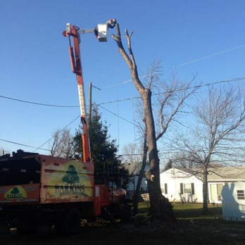 Bartons Tree Care - Tree Services Near Me - Crofton, Maryland Bartons Tree Care - Tree Services Near Me - Crofton, Maryland