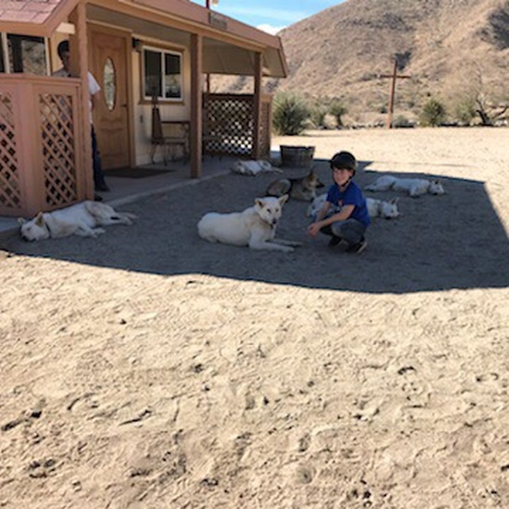 Crazy Horse Ranch - Horseback Riding Near Me - Morongo Valley, California Crazy Horse Ranch - Horseback Riding Near Me - Morongo Valley, California