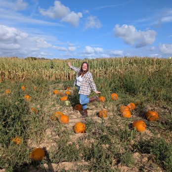 Harbes Orchard - Pumpkin patch - Farms Near Me - Riverhead, New York