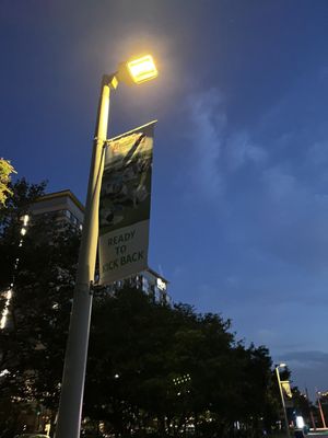 the Lawn on D by null