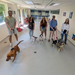 The Pooky Professor- Dog Training Services