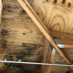 A2Z Construction Contractors - Mold remediation Chicagoland area