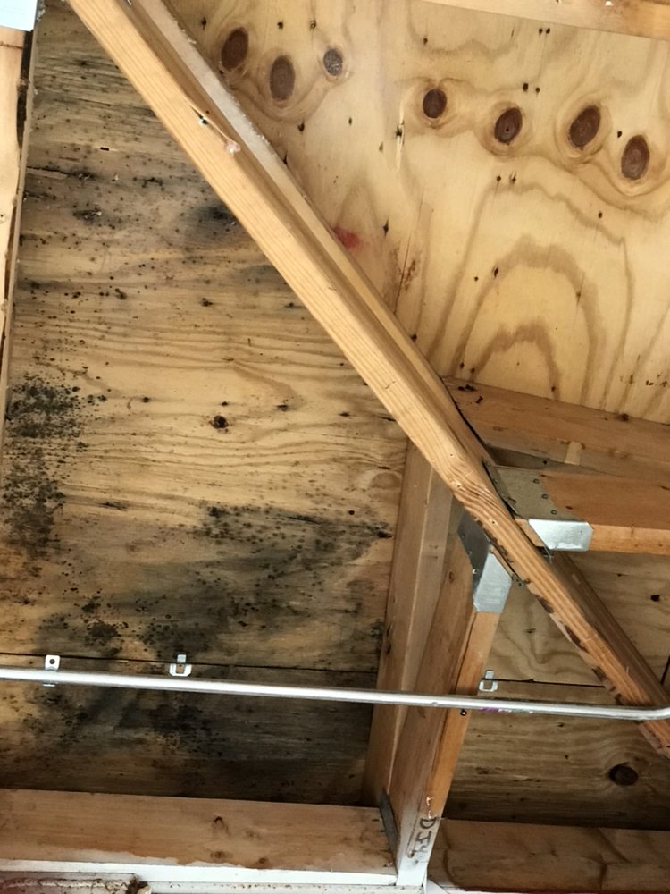 A2Z CONSTRUCTION CONTRACTORS Updated October 2024 38 Photos