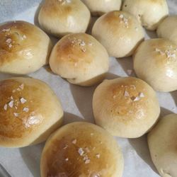 Bitter Sugar - Jalapeño Brisket Kolaches