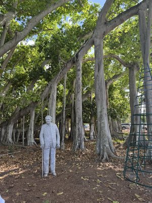 Edison & Ford Winter Estates by null